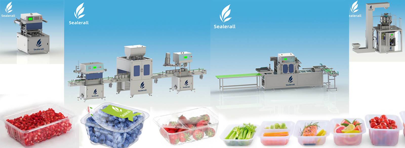 Qualität Geänderte Atmosphären-Verpackmaschine usine