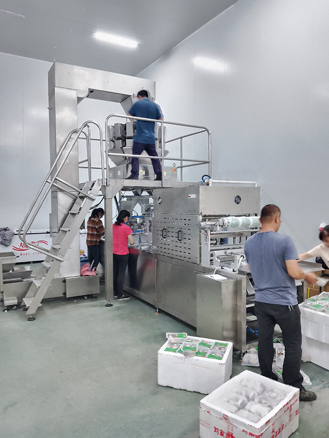 Jüngste Firmenblogs über Installation der Maschine zur Verpackung von Frischpilzen mit mehreren Köpfen und einer modifizierten Atmosphäre
