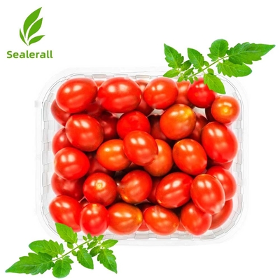 kaufen Sealerall MAP Tray Sealer für kleine Tomaten 10-12 Pack Trays Online-Herstellung